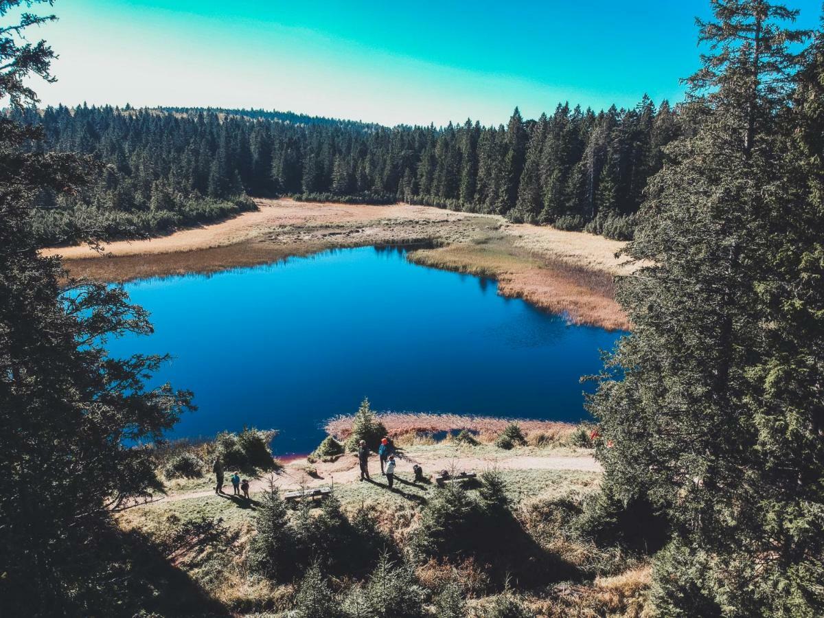 Apartment Bolfenk Pohorje - Forest Nest Hočko Pohorje Eksteriør bilde